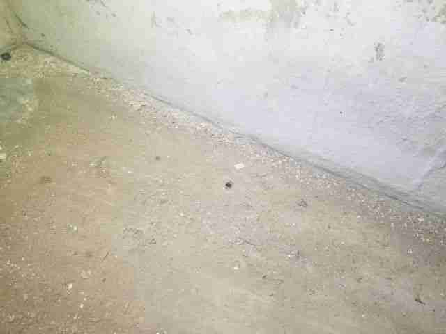 Testing again(34).jpg